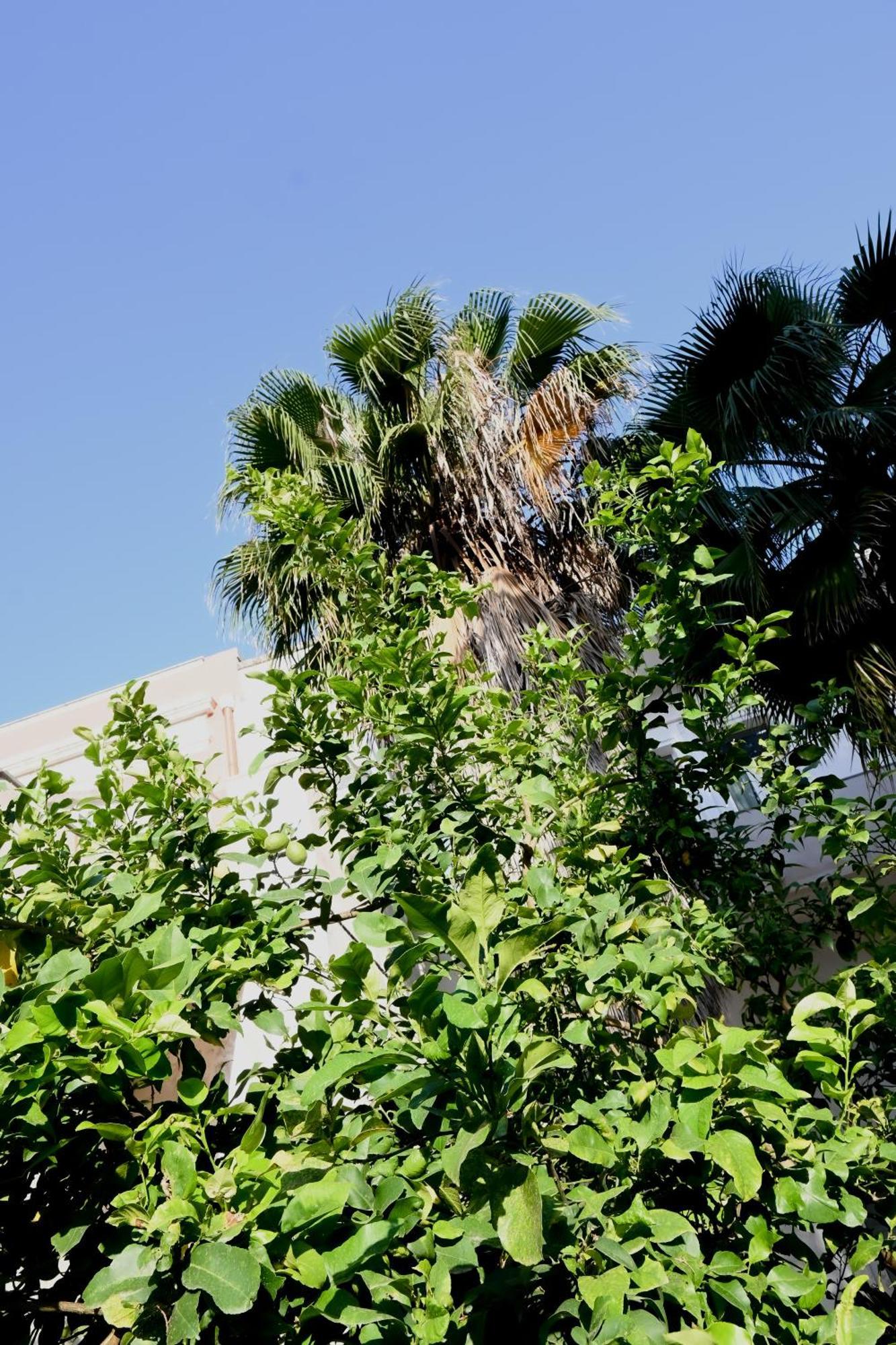 Fatata Suites Lecce Exterior foto